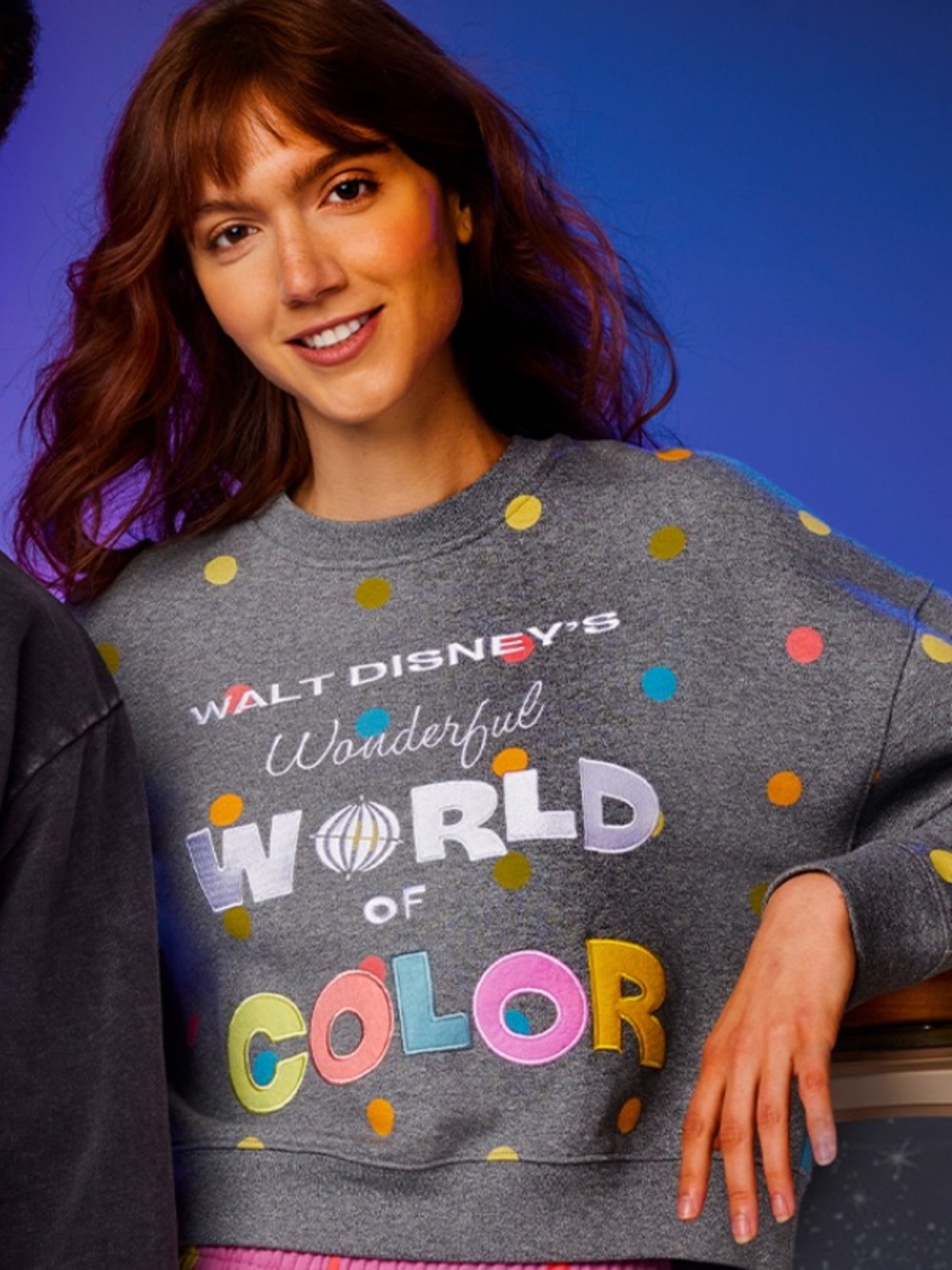 Disney 100 Wonderful World of Color Sweatshirt Crewneck Crop